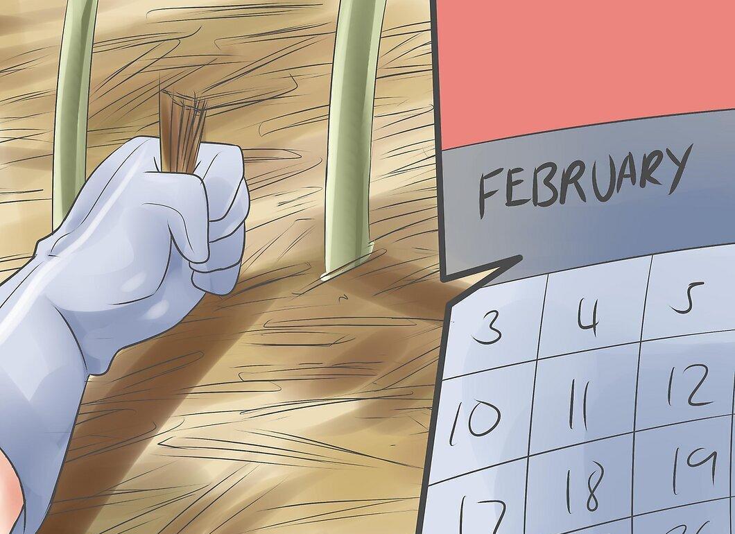 Step 11