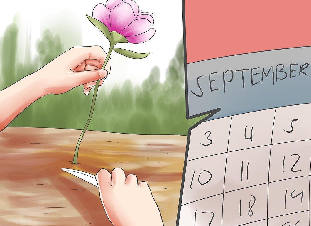 Step 1