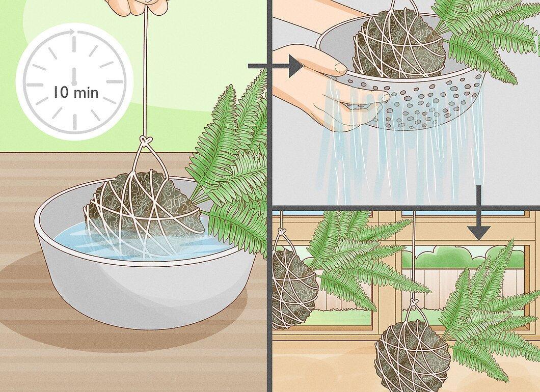 Step 2
