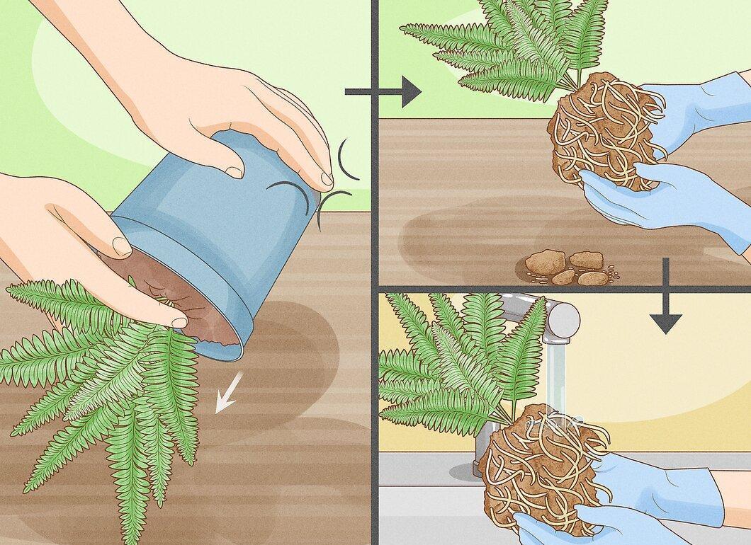 Step 2