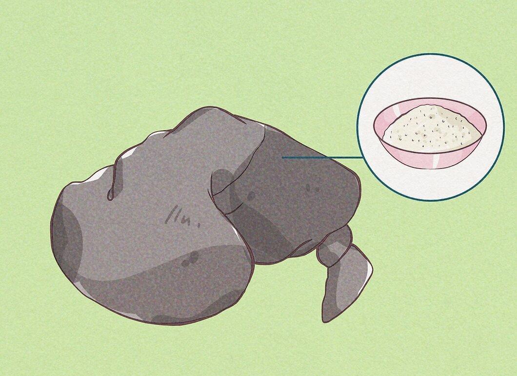 Step 2