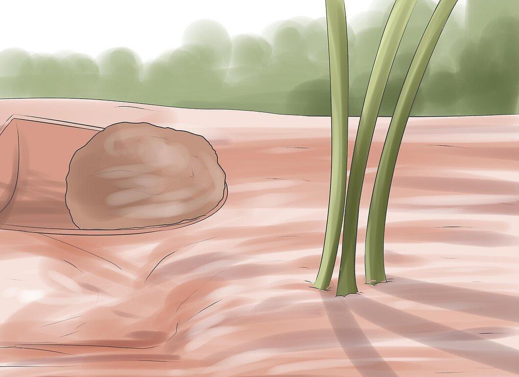 Step 3
