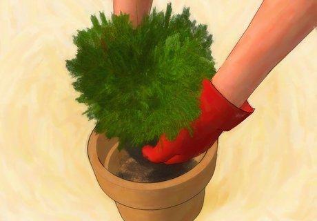 Step 4