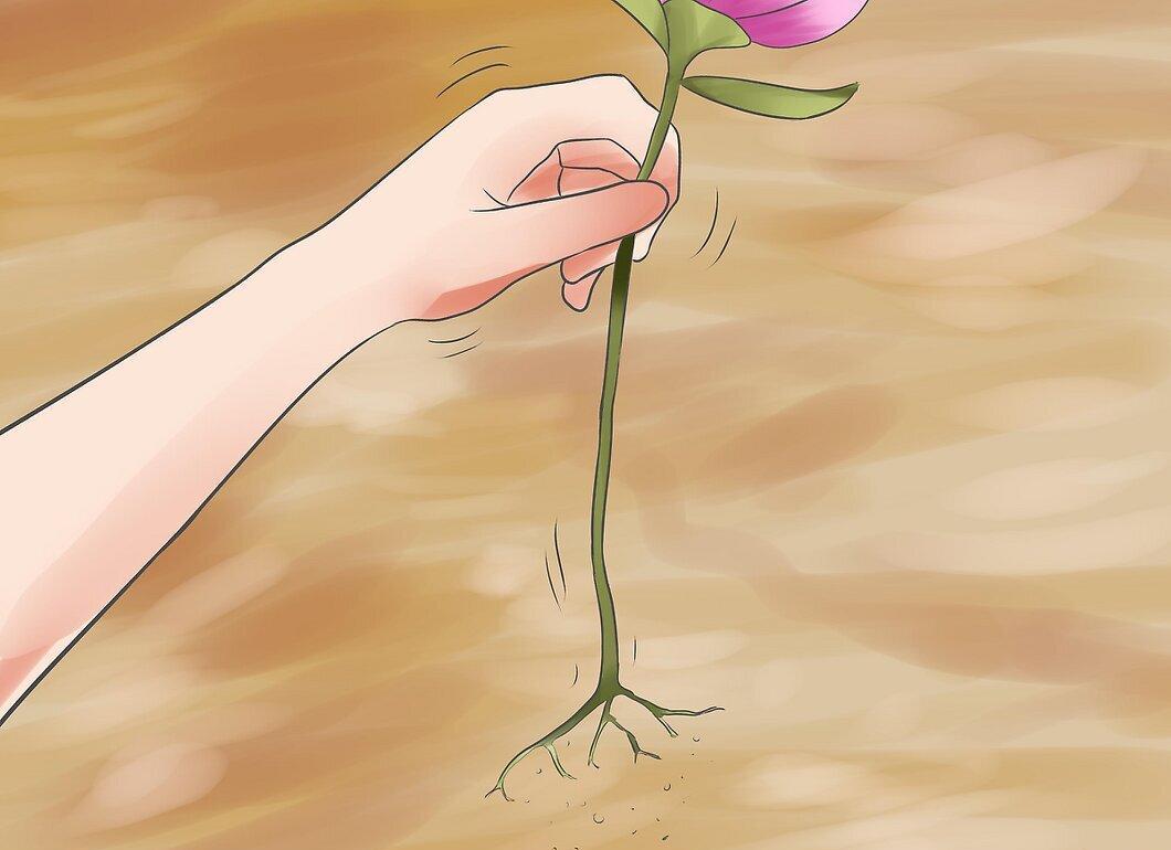 Step 4