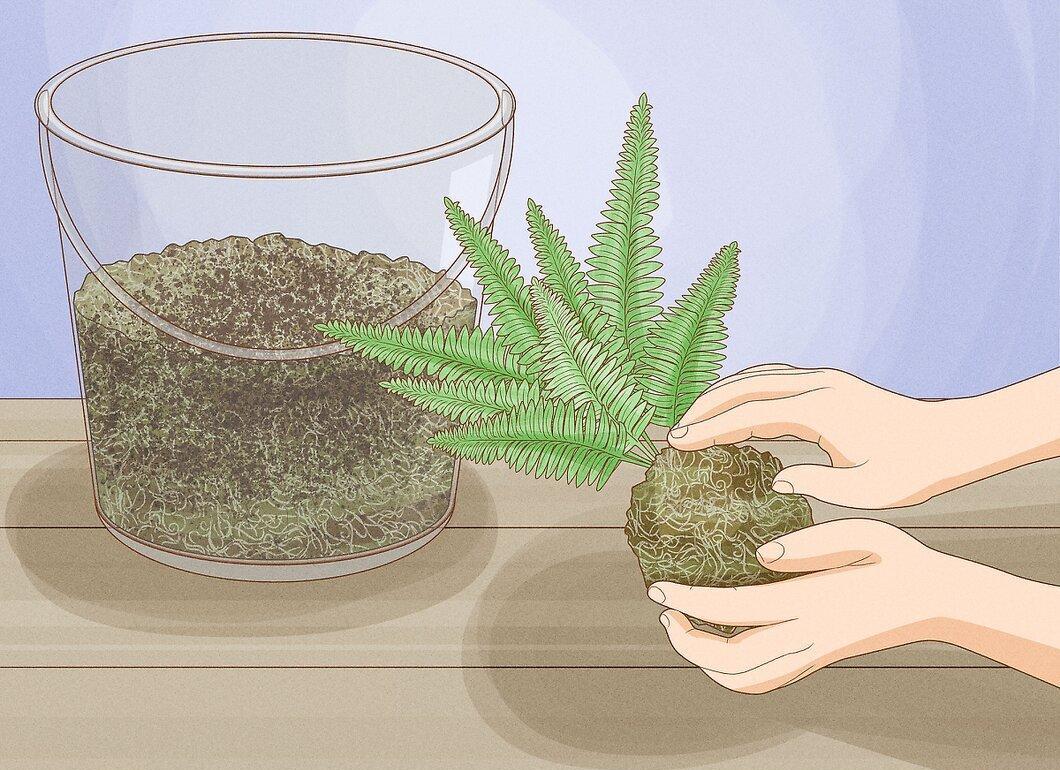 Step 5