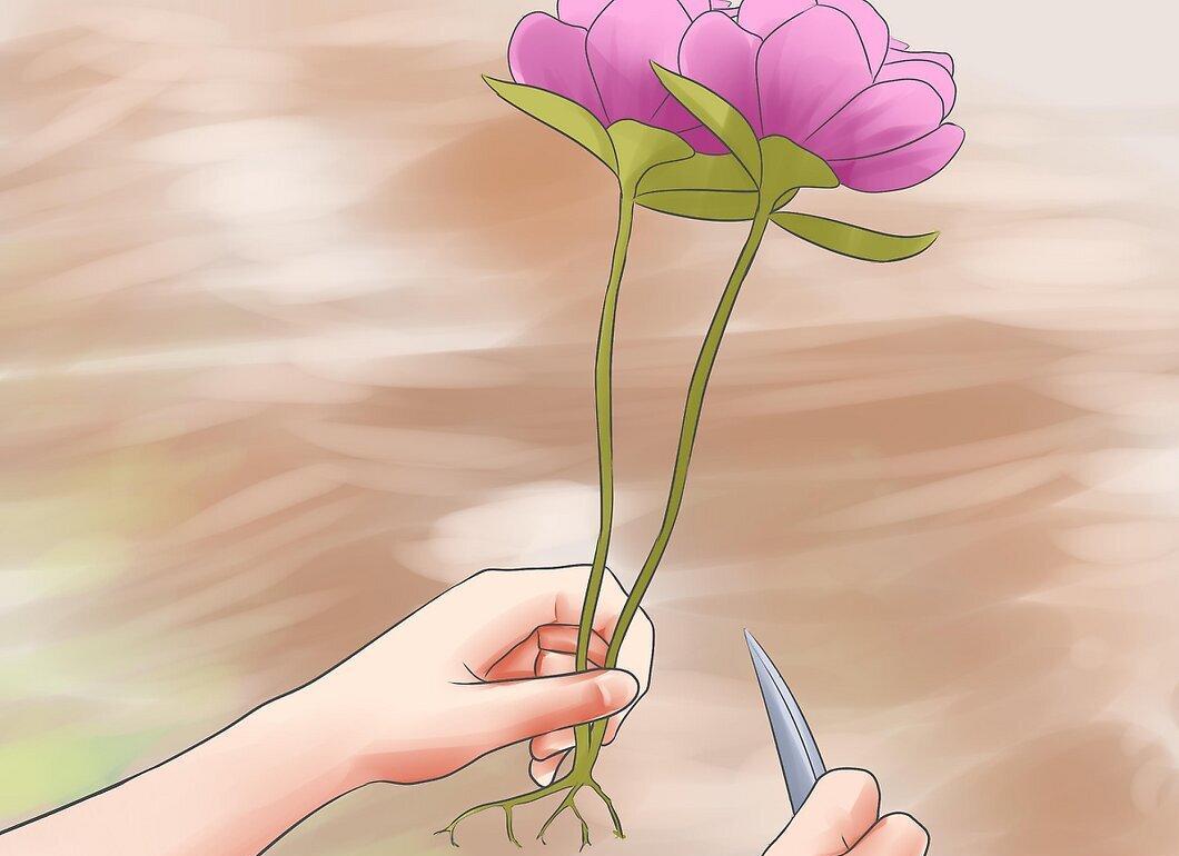 Step 5