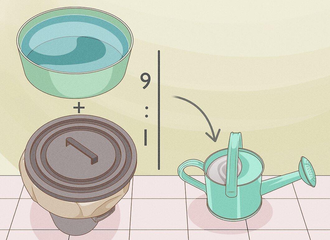 Step 6