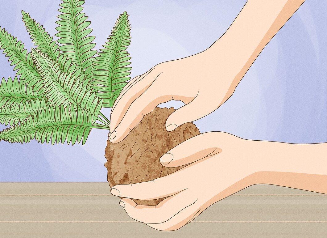 Step 6