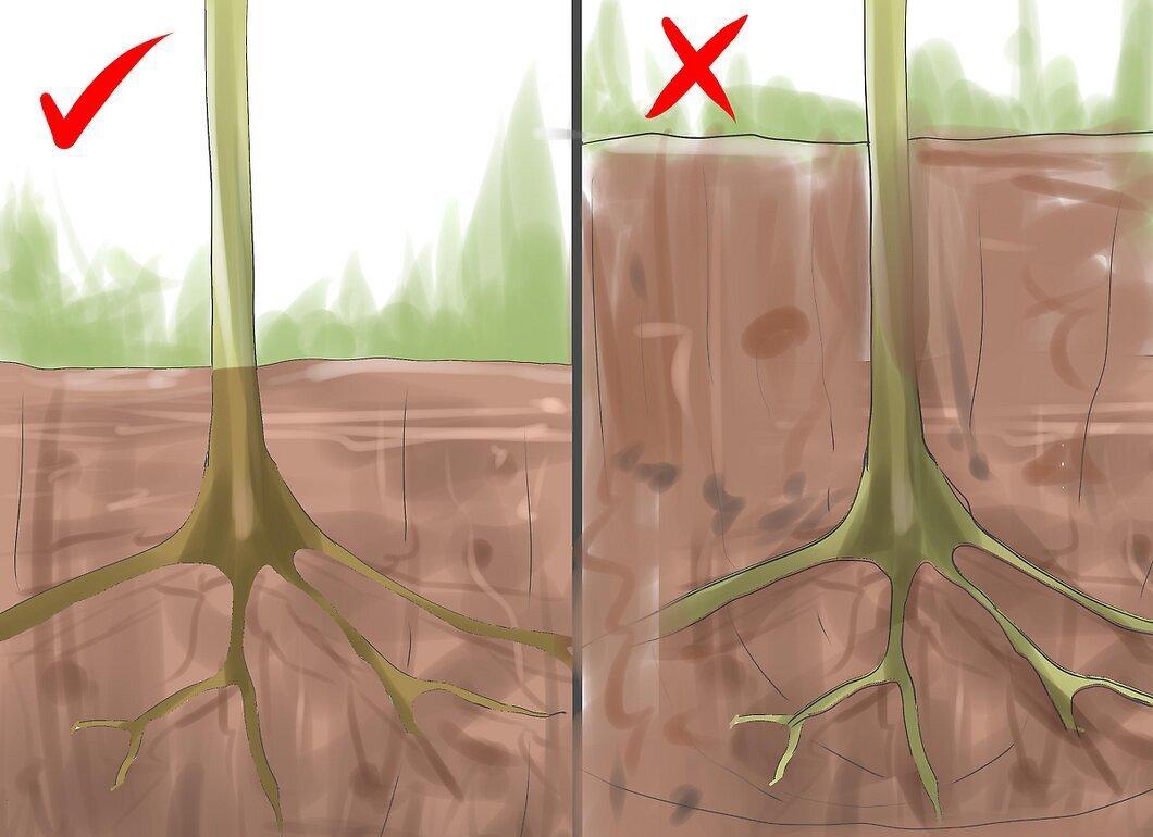 Step 7