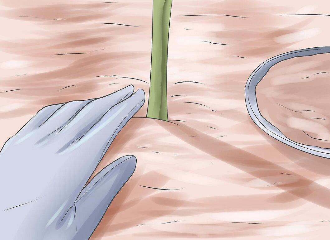 Step 8