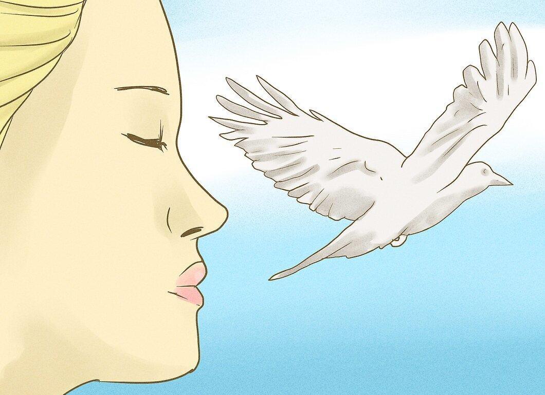 Step 5