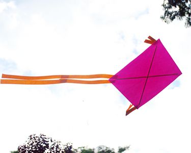 A Simple Way to Make Your Own Kite