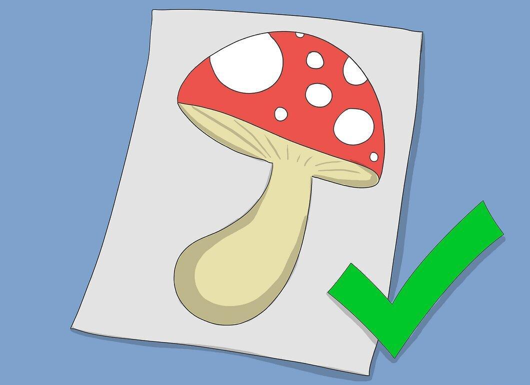 Step 1