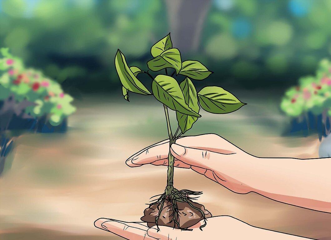 Шаг 1