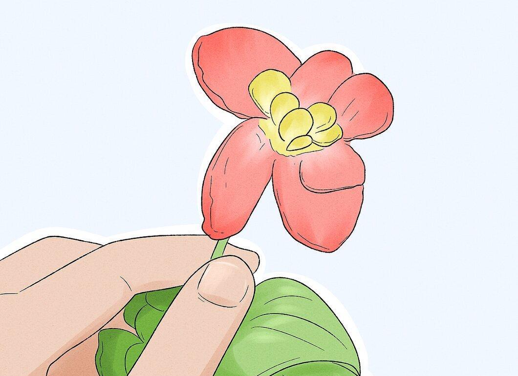 Step 2