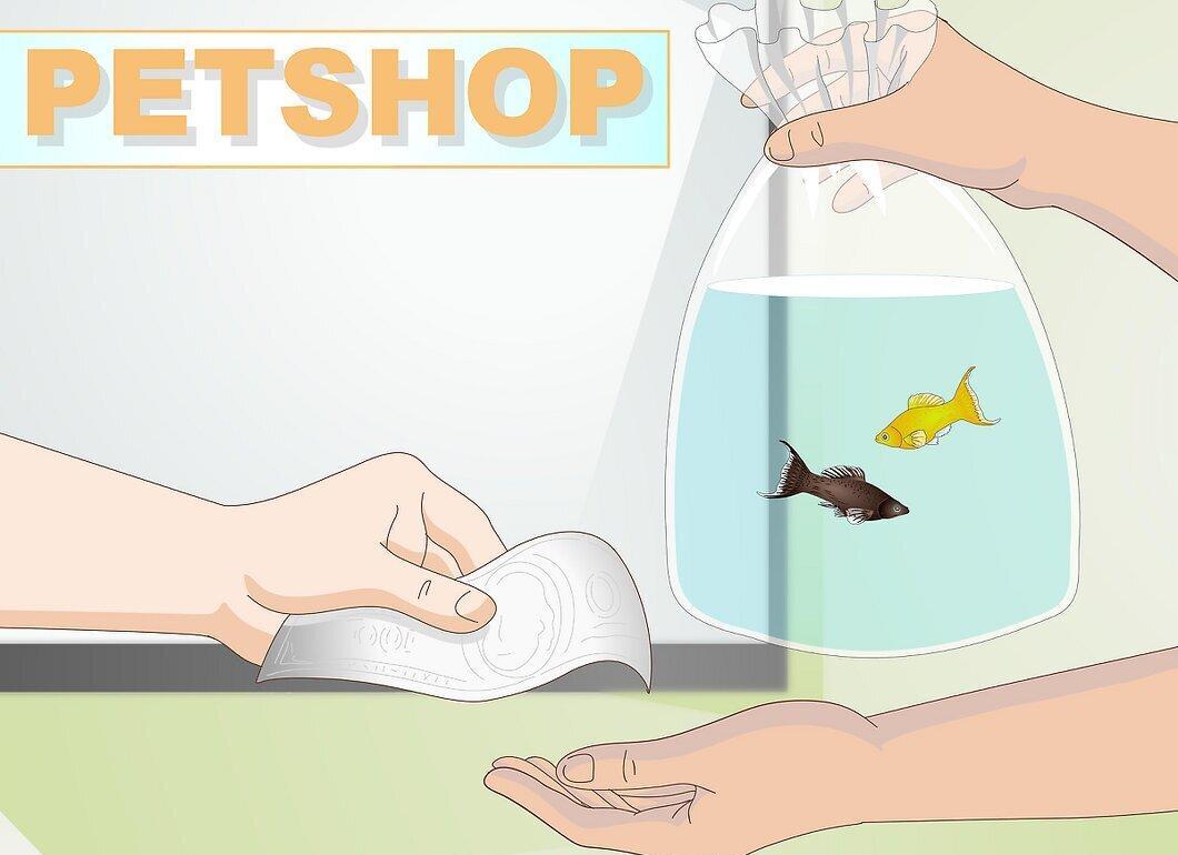 Step 3