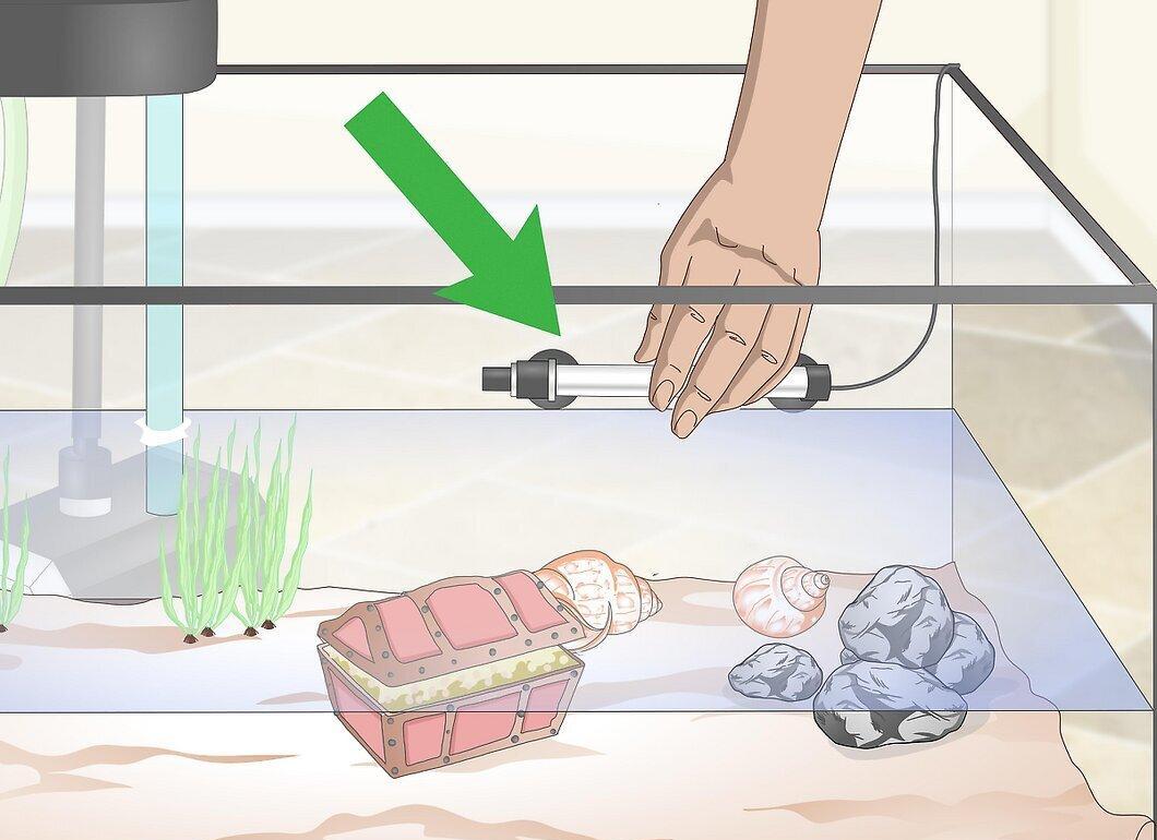 Step 4