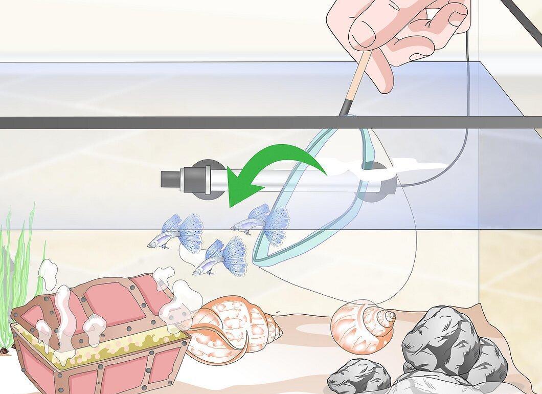 Step 5