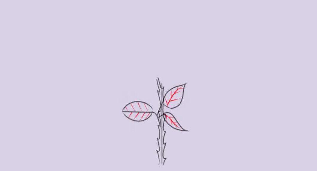 Step 6