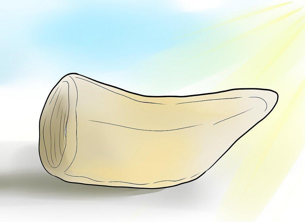 Step 6
