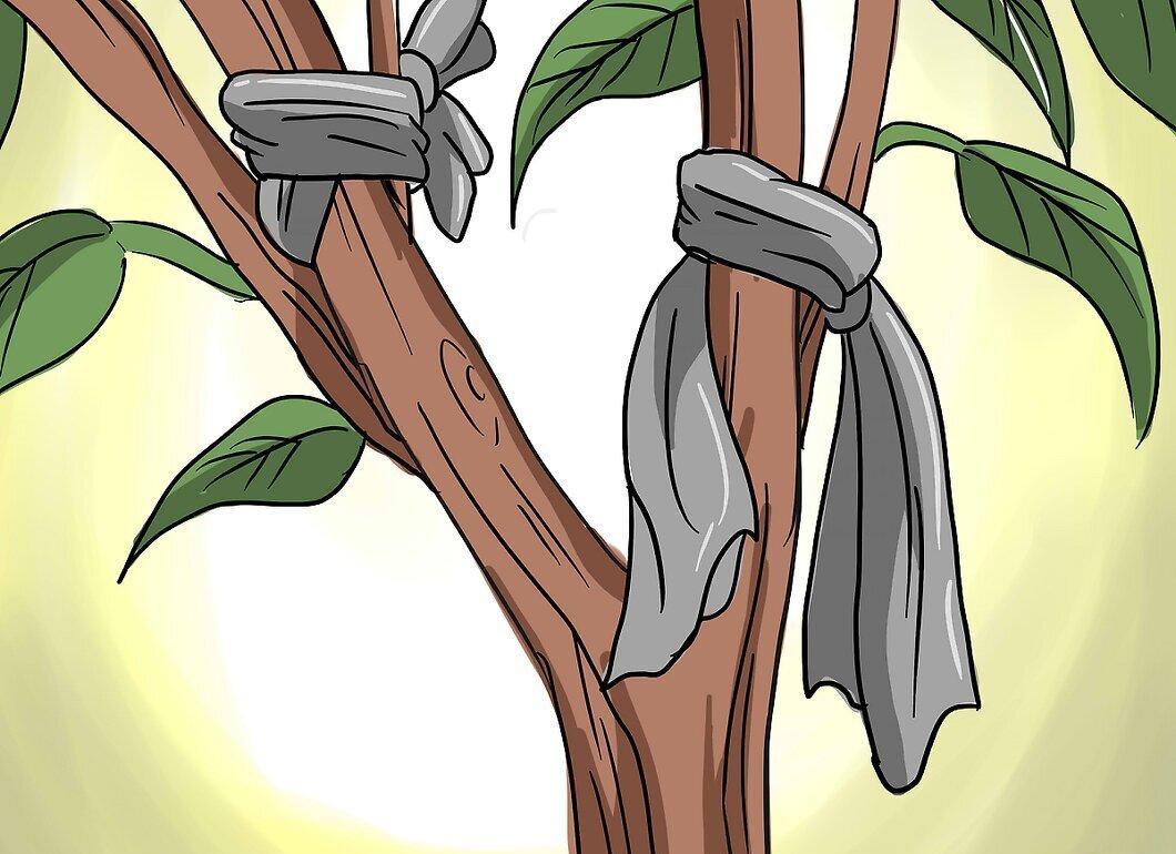 Step 6