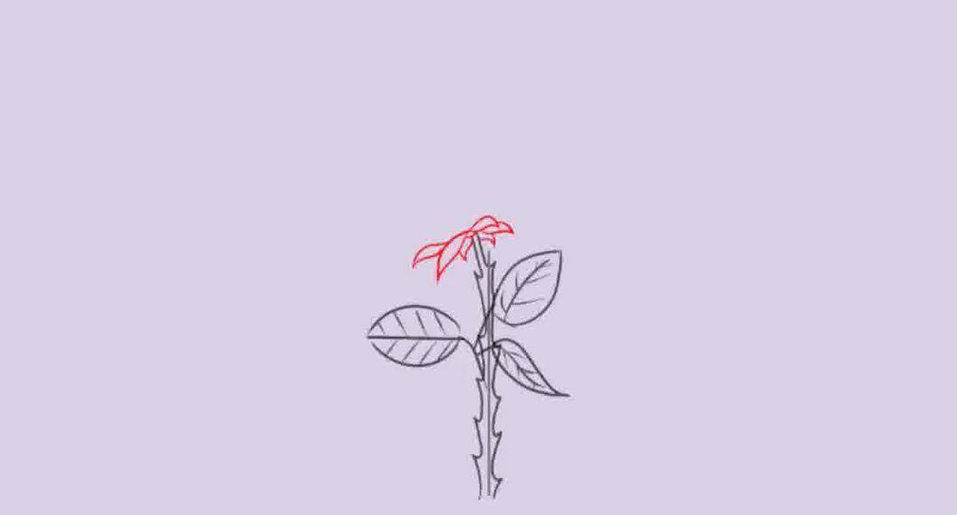 Step 7
