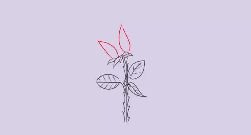 Step 8
