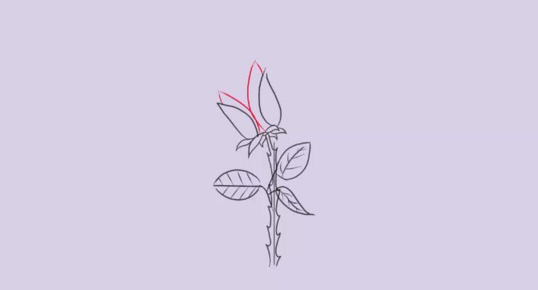 Step 9