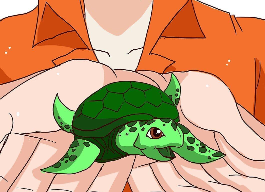 Step 4