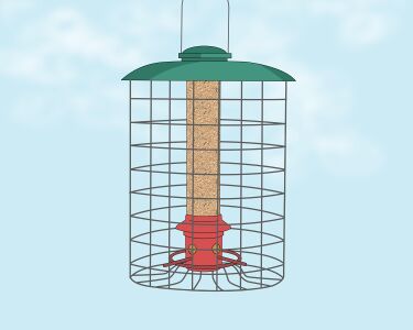 Effective Ways to Protect Your Bird Feeder from Squirrels
