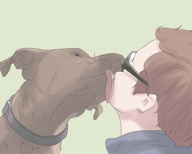 How to Start Your Own Animal Rescue Service