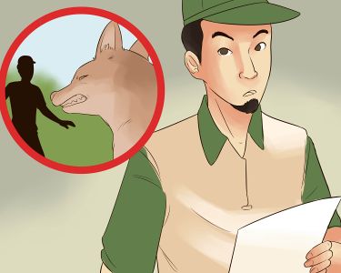 Как пережить атаку койота