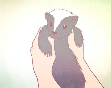 How to Safely Release a Skunk from a Trap: A Step-by-Step Guide