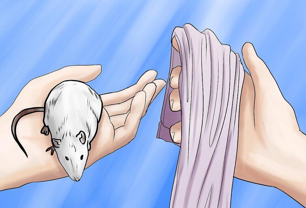 Step 10