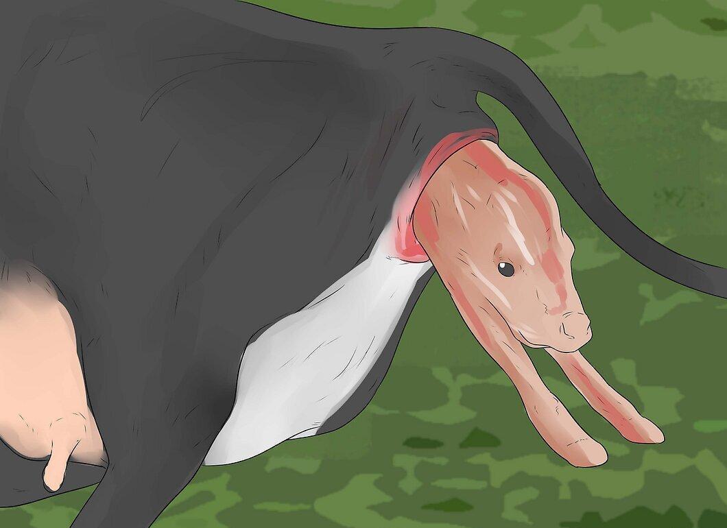 Step 10
