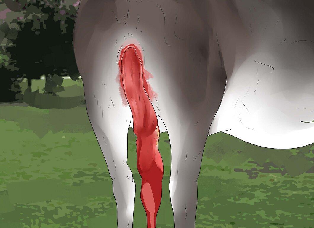 Step 11