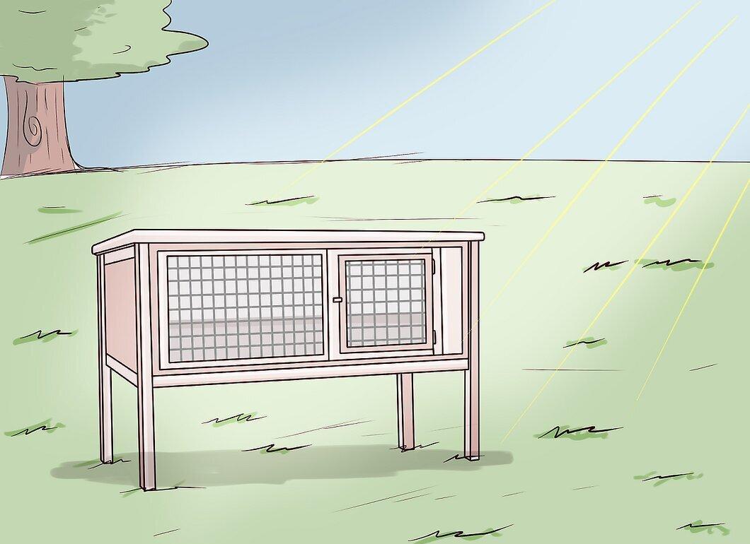 Step 12