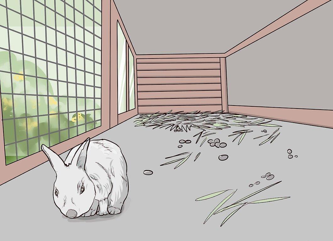 Step 1