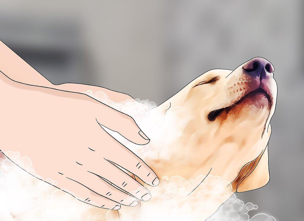 Шаг 1