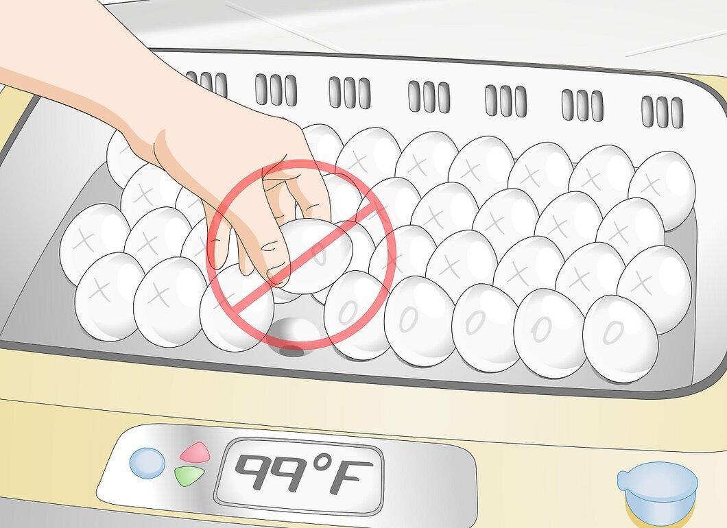 Step 1
