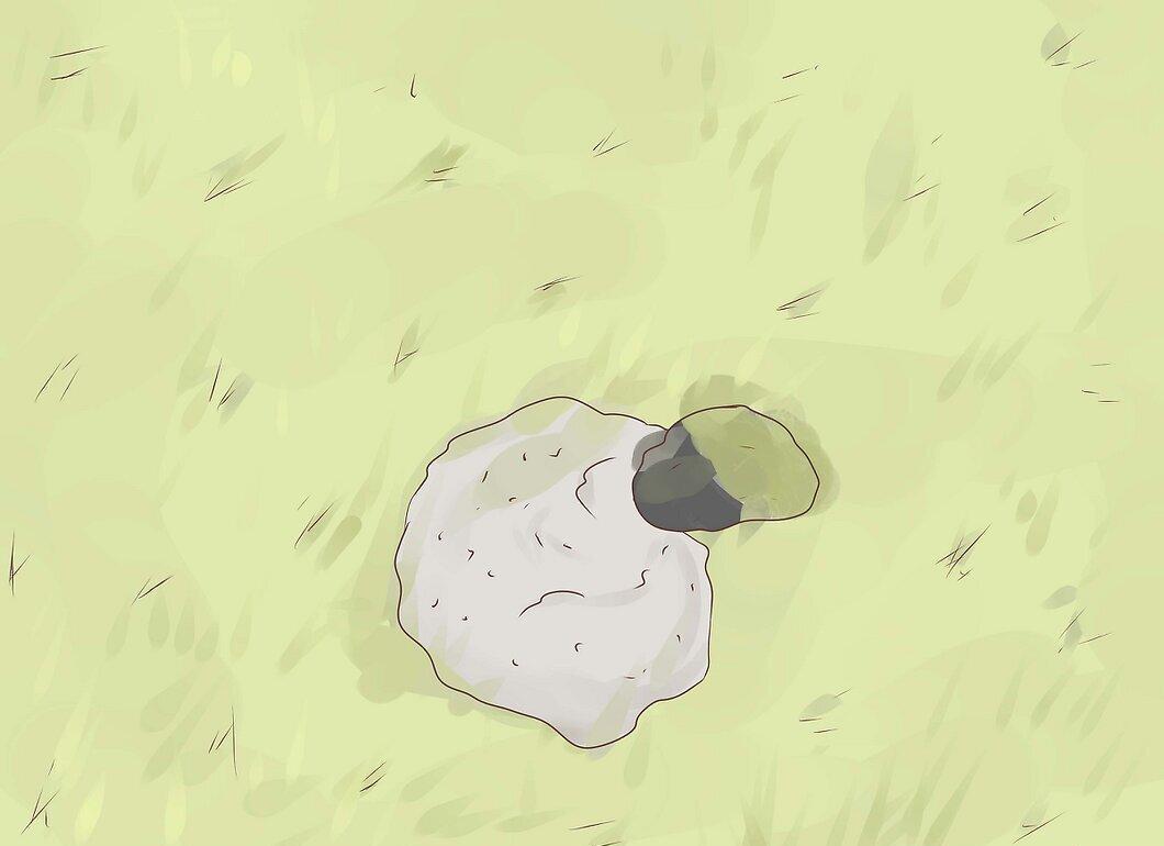 Step 1