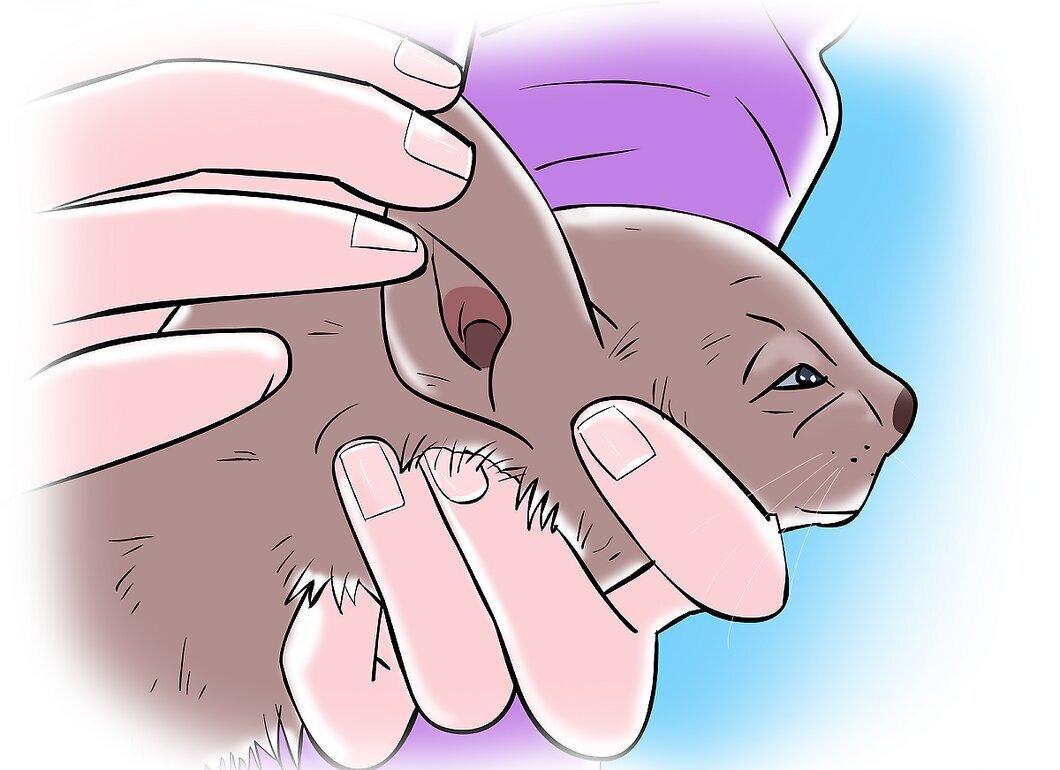 Step 1