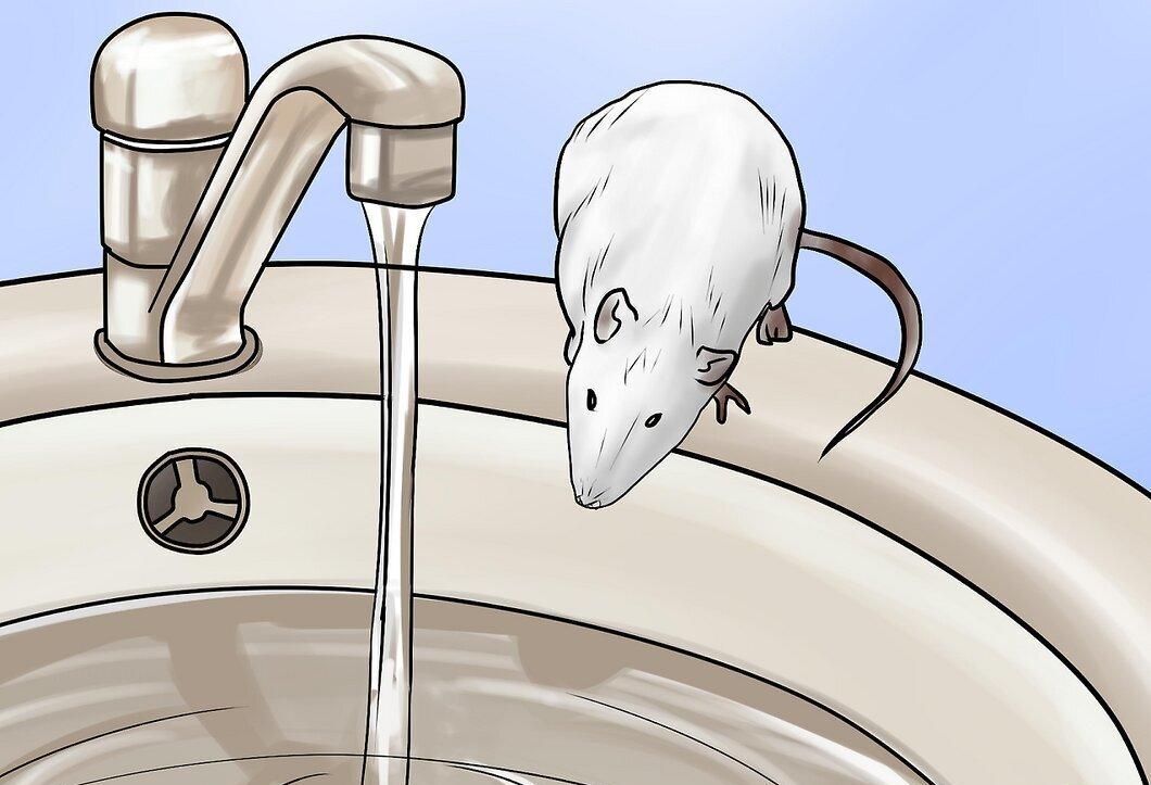 Step 1