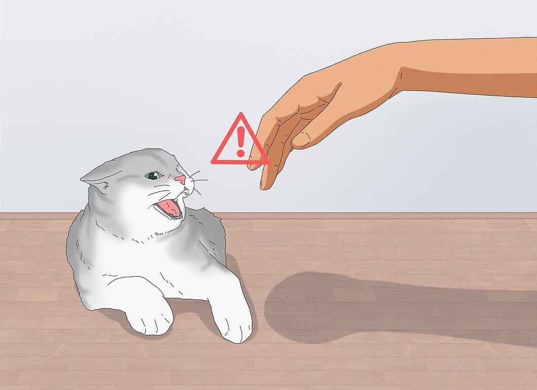 Step 1