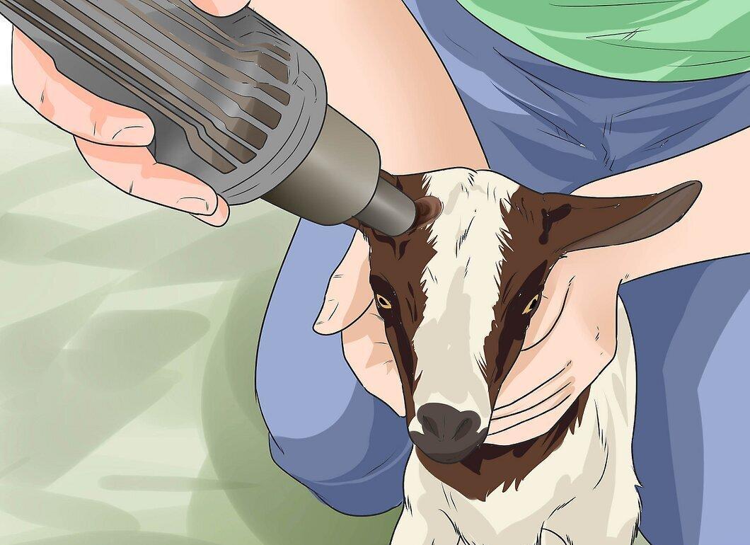 Step 1