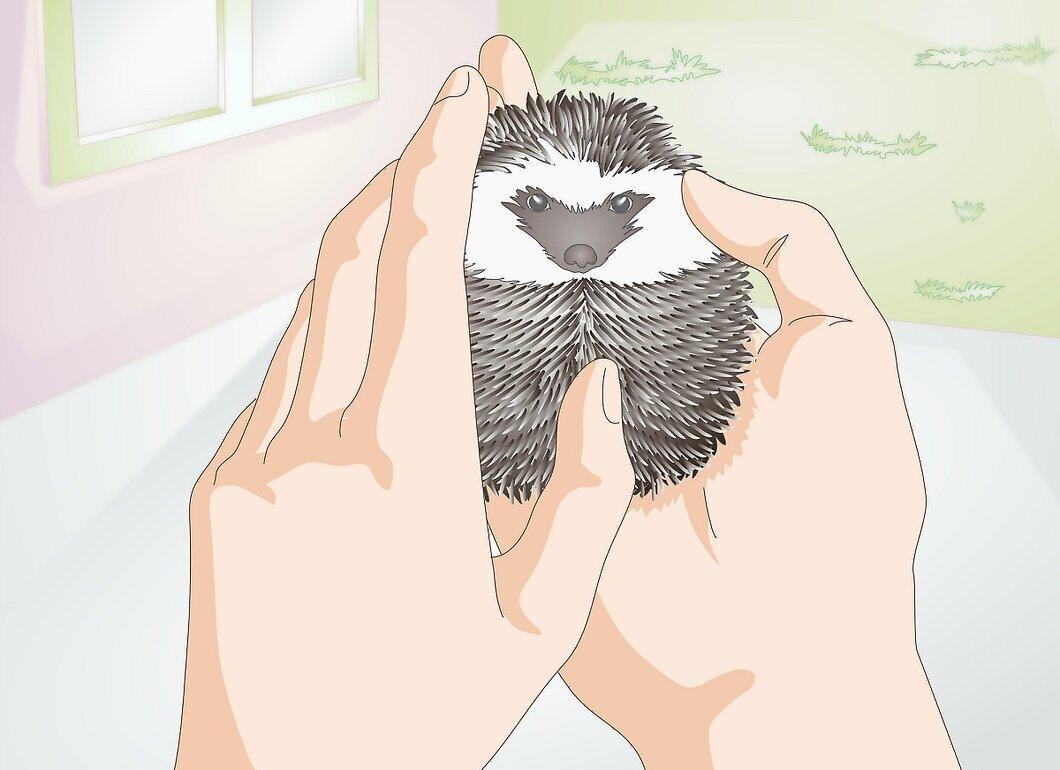 Step 1