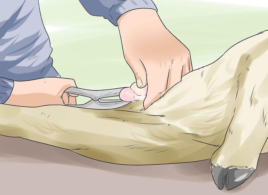 Step 2