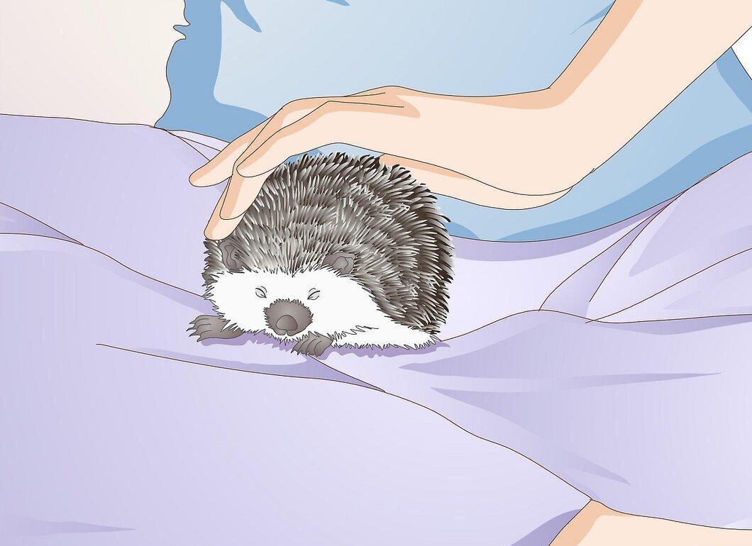 Step 2