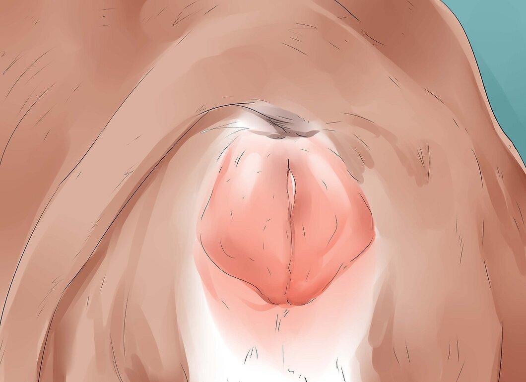 Step 2