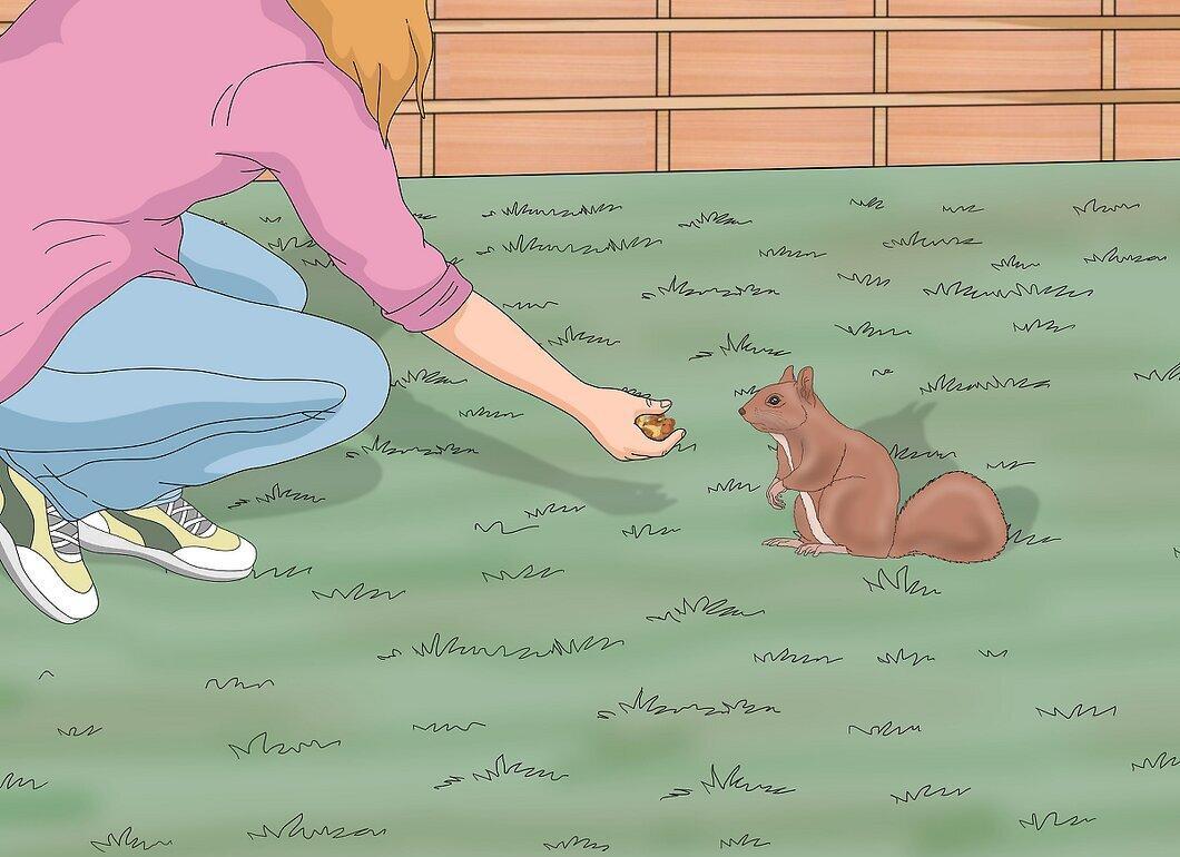 Шаг 3